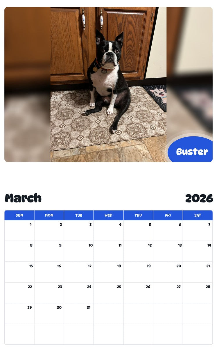 November 2025 - October 2026 Buster - Pawidols Pet Calendar