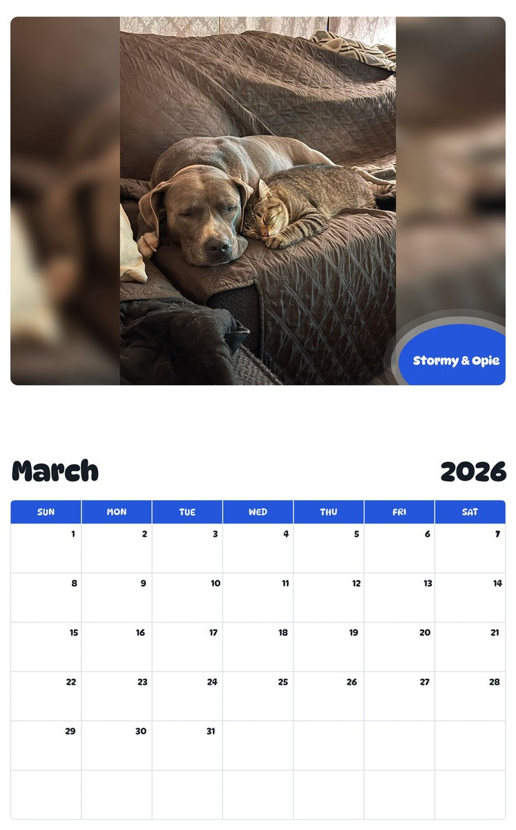 November 2025 - October 2026 Stormy & Opie - Pawidols Pet Calendar