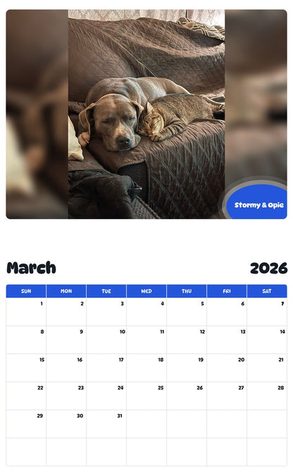 November 2025 - October 2026 Stormy & Opie - Pawidols Pet Calendar