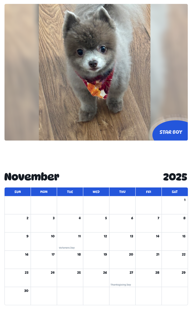 July 2025 - June 2026 Star Boy - Pawidols Pet Calendar