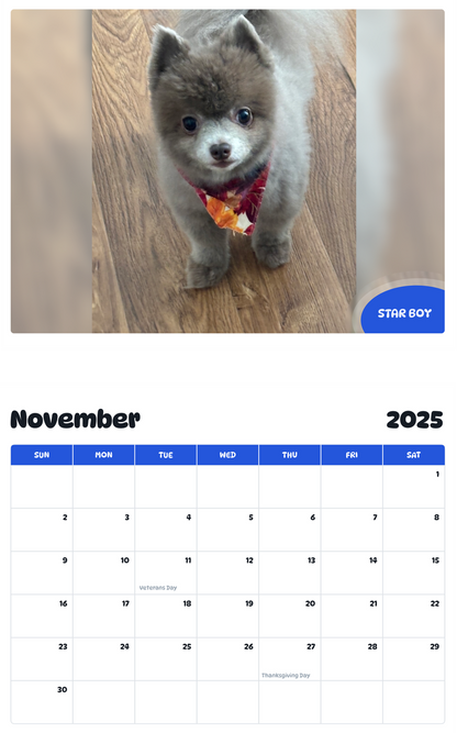 July 2025 - June 2026 Star Boy - Pawidols Pet Calendar