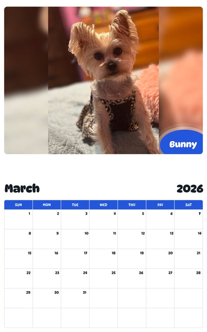November 2025 - October 2026 Bunny - Pawidols Pet Calendar