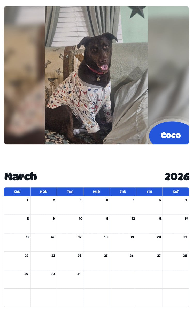 November 2025 - October 2026 Coco - Pawidols Pet Calendar