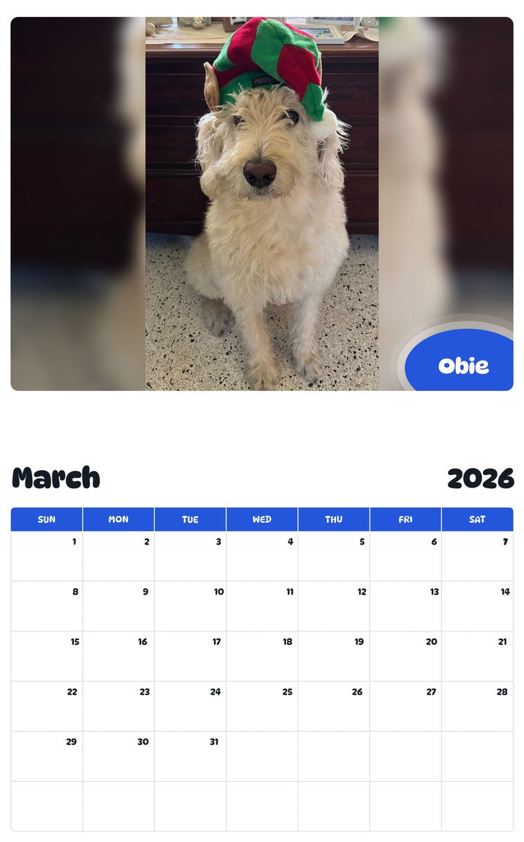 November 2025 - October 2026 Obie - Pawidols Pet Calendar