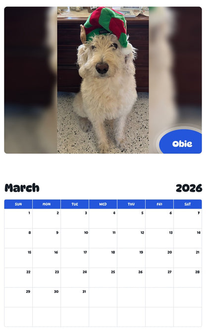 November 2025 - October 2026 Obie - Pawidols Pet Calendar