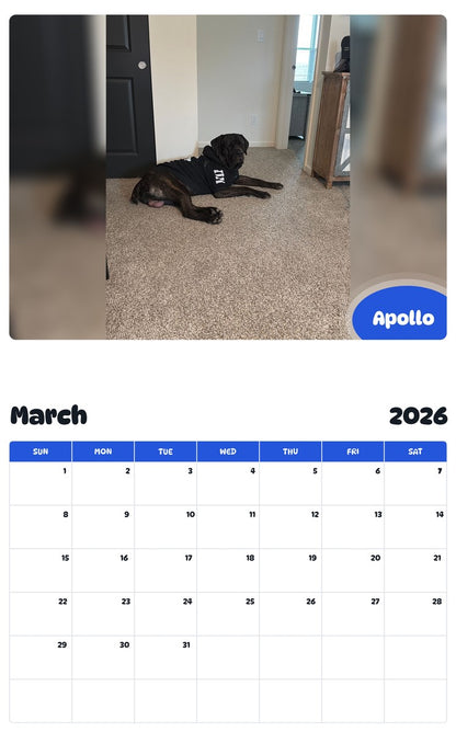 November 2025 - October 2026 Apollo - Pawidols Pet Calendar