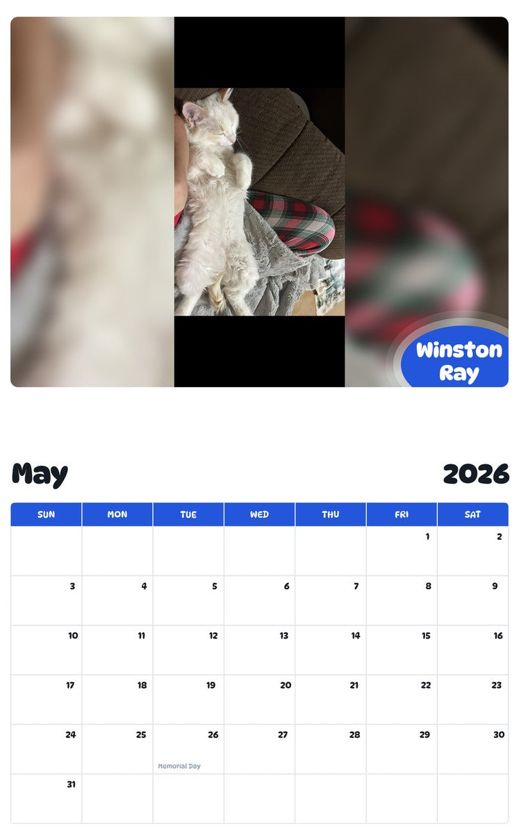 2026 - 2027 Winston Ray - Pawidols Pet Calendar