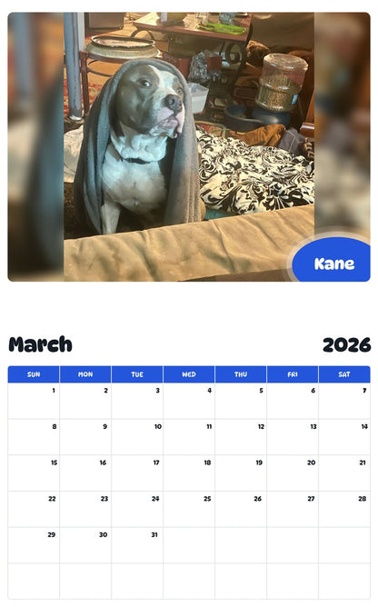 November 2025 - October 2026 Kane - Pawidols Pet Calendar