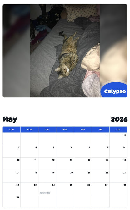 2026 - 2027 Calypso - Pawidols Pet Calendar