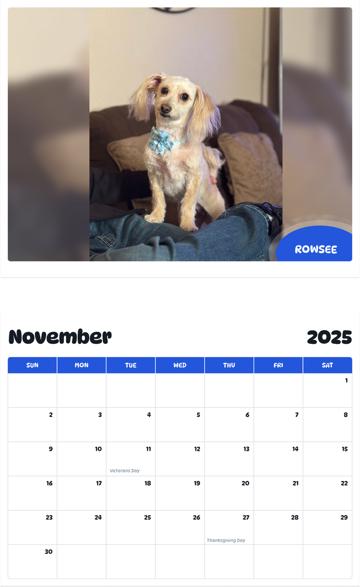 July 2025 - June 2026 Rowsee - Pawidols Pet Calendar