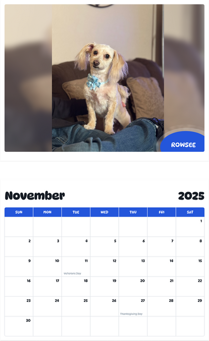 July 2025 - June 2026 Rowsee - Pawidols Pet Calendar
