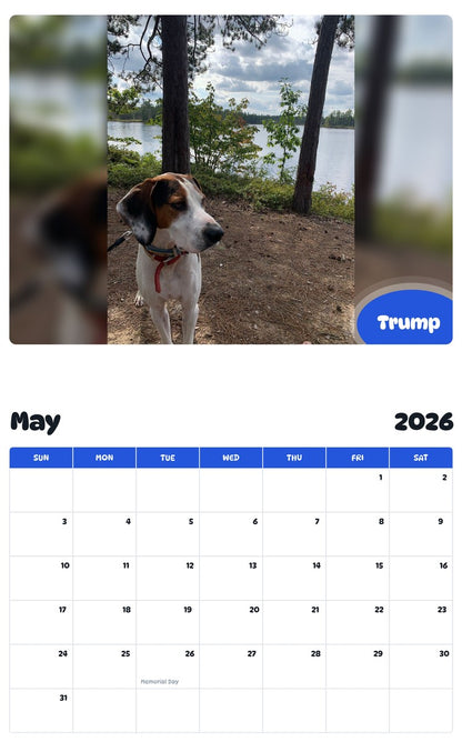 2026 - 2027 Trump - Pawidols Pet Calendar