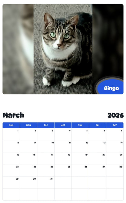November 2025 - October 2026 Bingo - Pawidols Pet Calendar