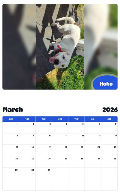 November 2025 - October 2026 Hobo - Pawidols Pet Calendar