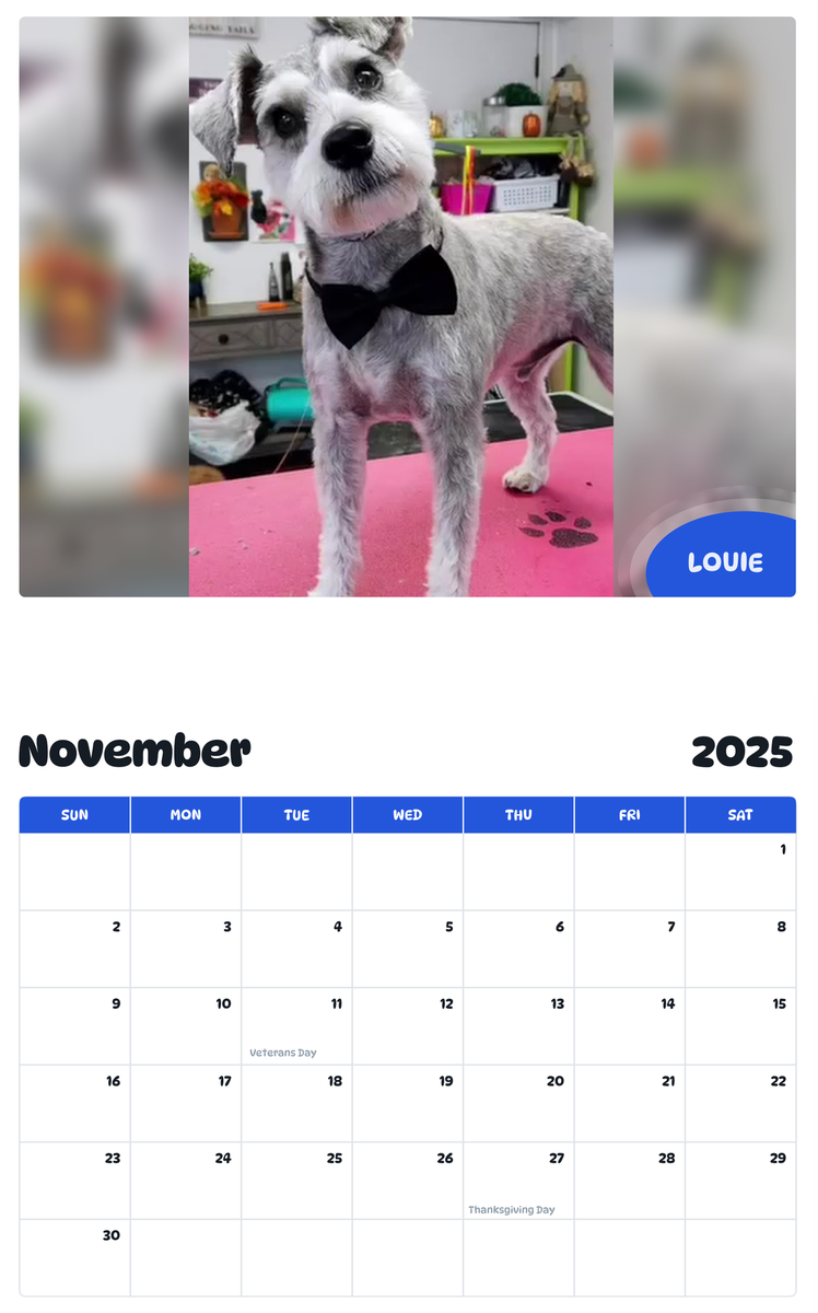 July 2025 - June 2026 Louie - Pawidols Pet Calendar