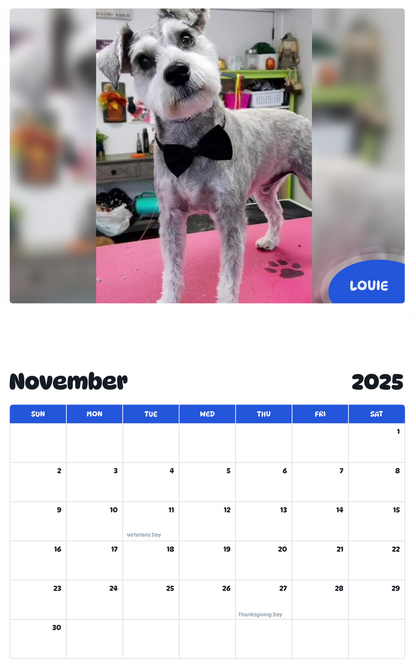 July 2025 - June 2026 Louie - Pawidols Pet Calendar