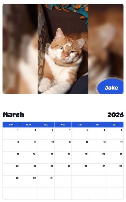 November 2025 - October 2026 Jake - Pawidols Pet Calendar