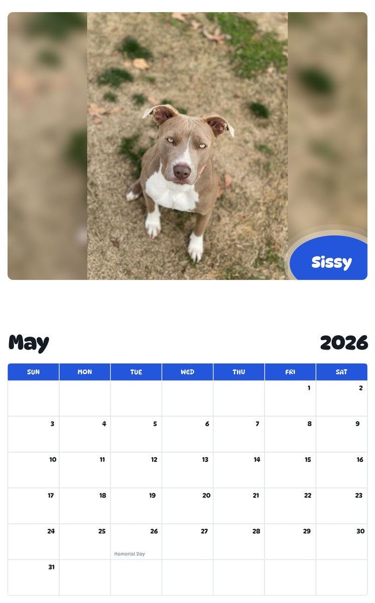 2026 - 2027 Sissy - Pawidols Pet Calendar