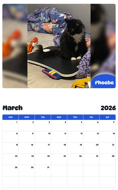 November 2025 - October 2026 Phoebe - Pawidols Pet Calendar