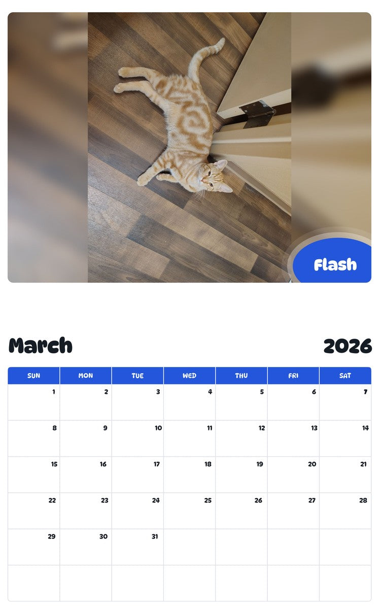 November 2025 - October 2026 Flash - Pawidols Pet Calendar