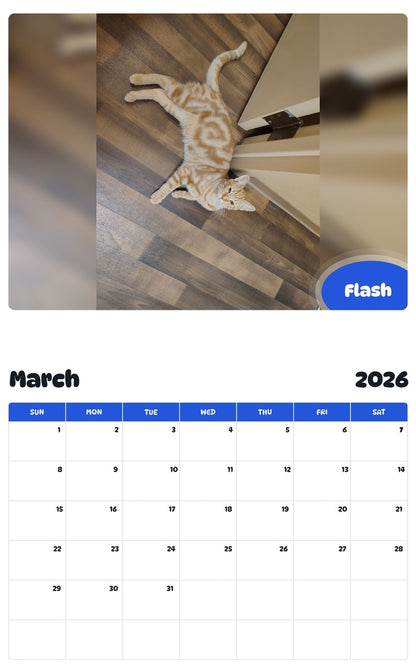 November 2025 - October 2026 Flash - Pawidols Pet Calendar