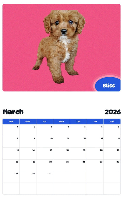 November 2025 - October 2026 Bliss - Pawidols Pet Calendar