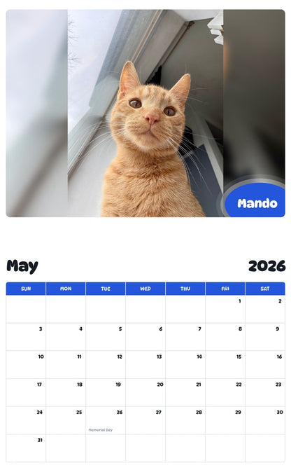 2026 - 2027 Mando - Pawidols Pet Calendar