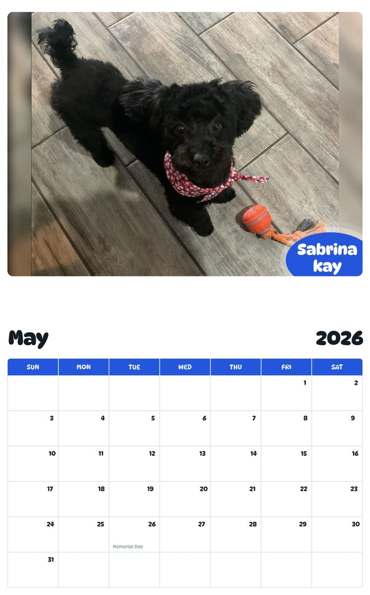 2026 - 2027 Sabrina kay - Pawidols Pet Calendar