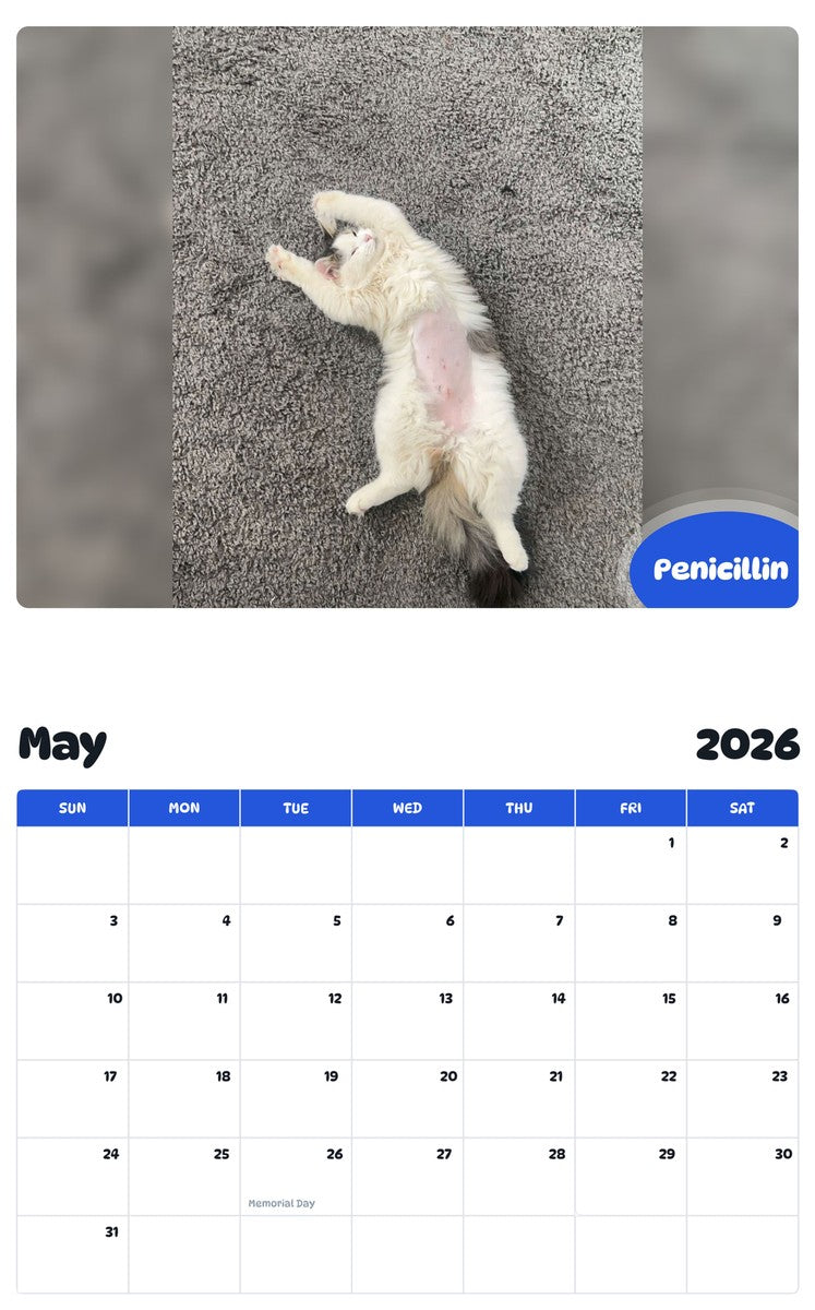 2026 - 2027 Penicillin - Pawidols Pet Calendar