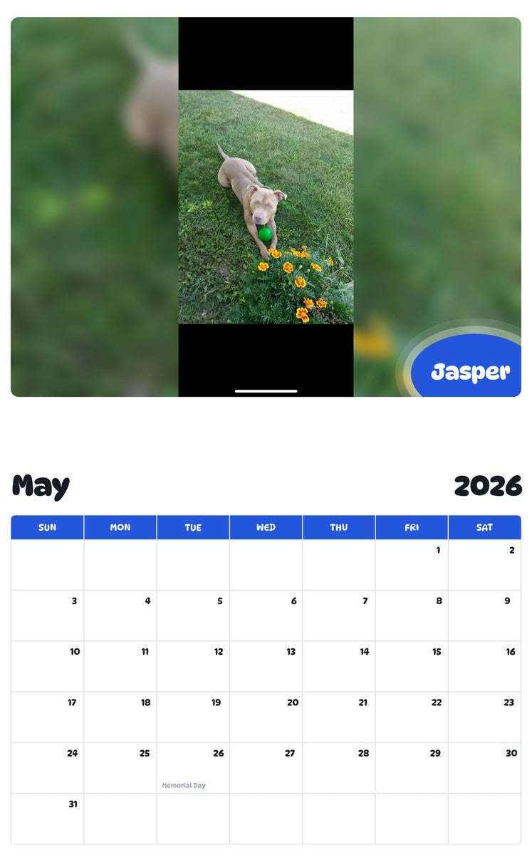 2026 - 2027 Jasper - Pawidols Pet Calendar