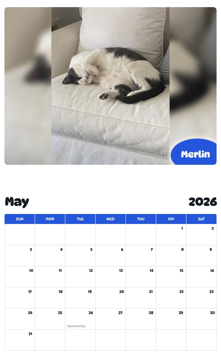 2026 - 2027 Merlin - Pawidols Pet Calendar