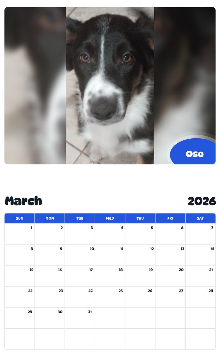 November 2025 - October 2026 Oso - Pawidols Pet Calendar
