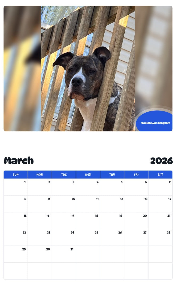 November 2025 - October 2026 Delilah Lynn Whigham - Pawidols Pet Calendar