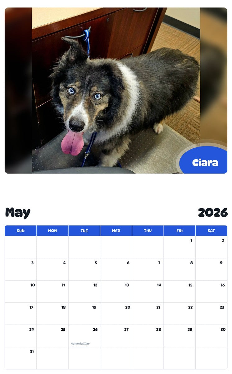 2026 - 2027 Ciara - Pawidols Pet Calendar