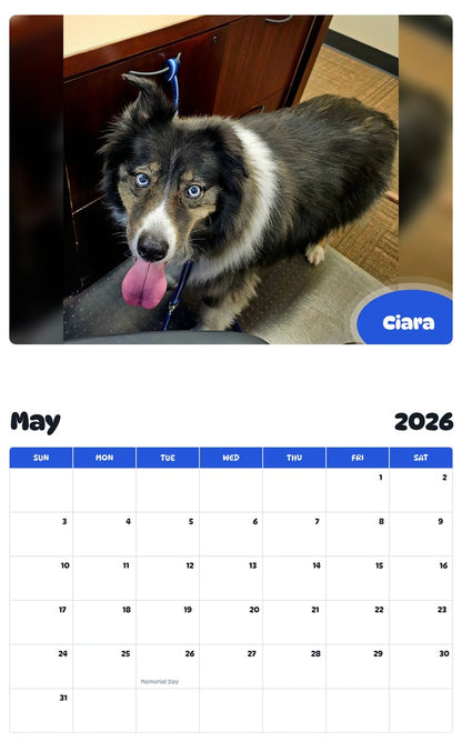 2026 - 2027 Ciara - Pawidols Pet Calendar