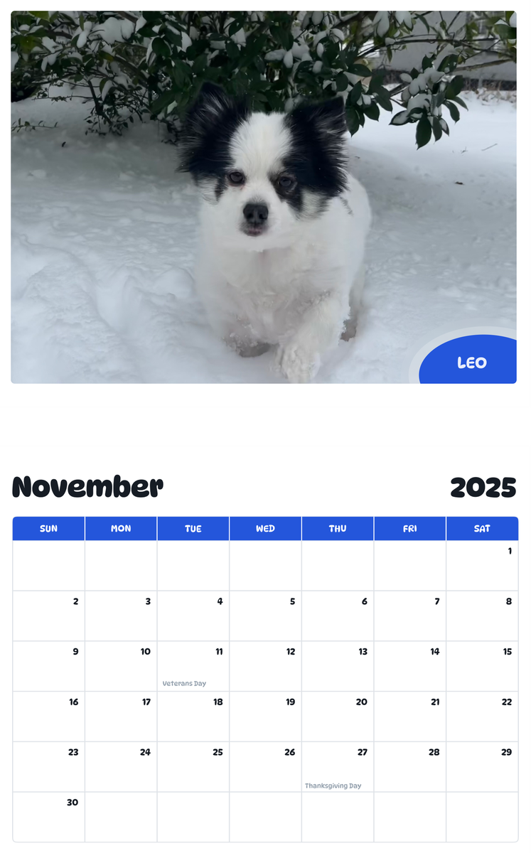 July 2025 - June 2026 Leo - Pawidols Pet Calendar