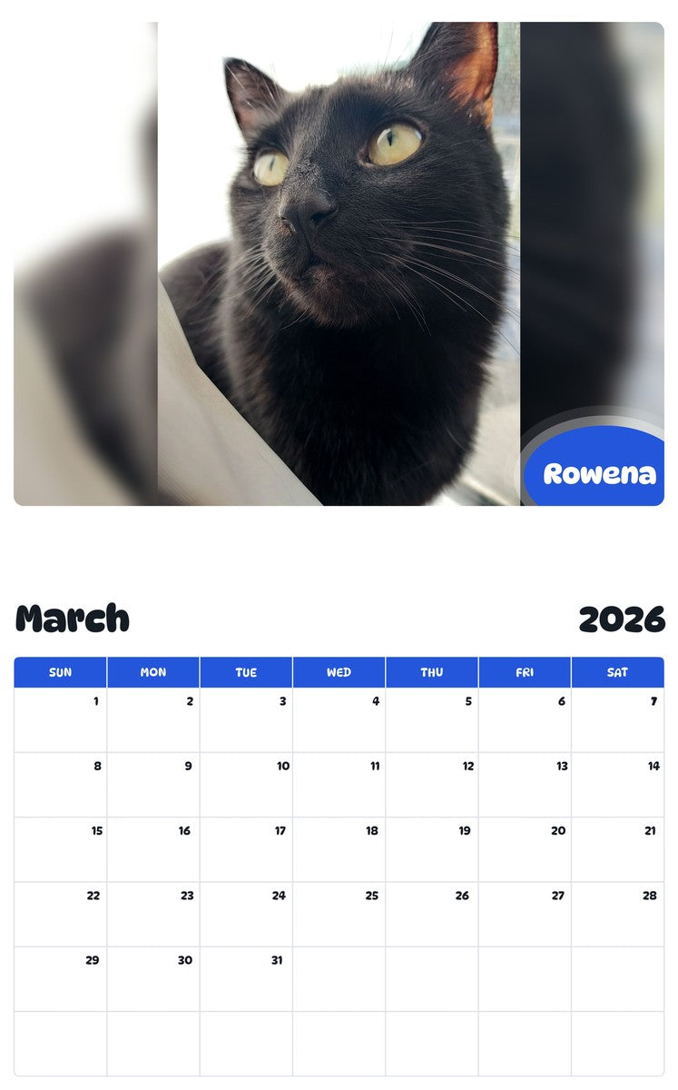 November 2025 - October 2026 Rowena - Pawidols Pet Calendar