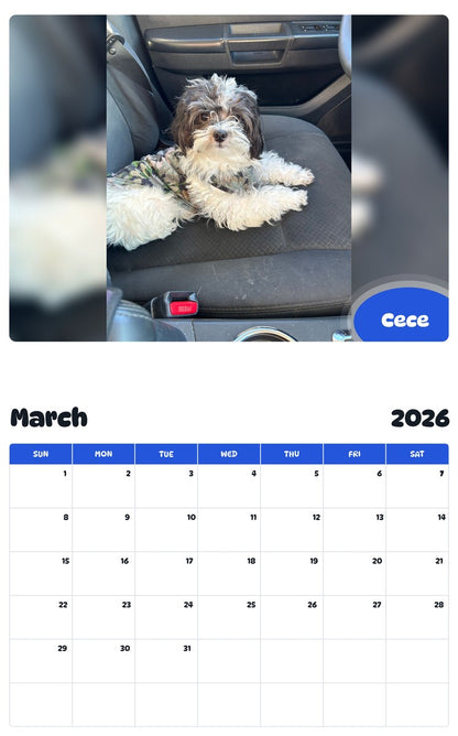 November 2025 - October 2026 Cece - Pawidols Pet Calendar
