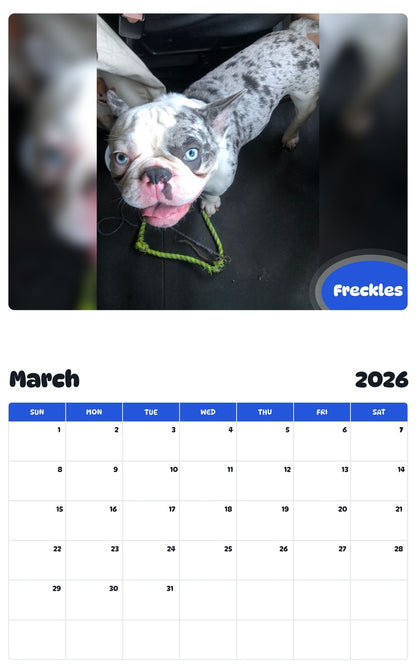 November 2025 - October 2026 Freckles - Pawidols Pet Calendar