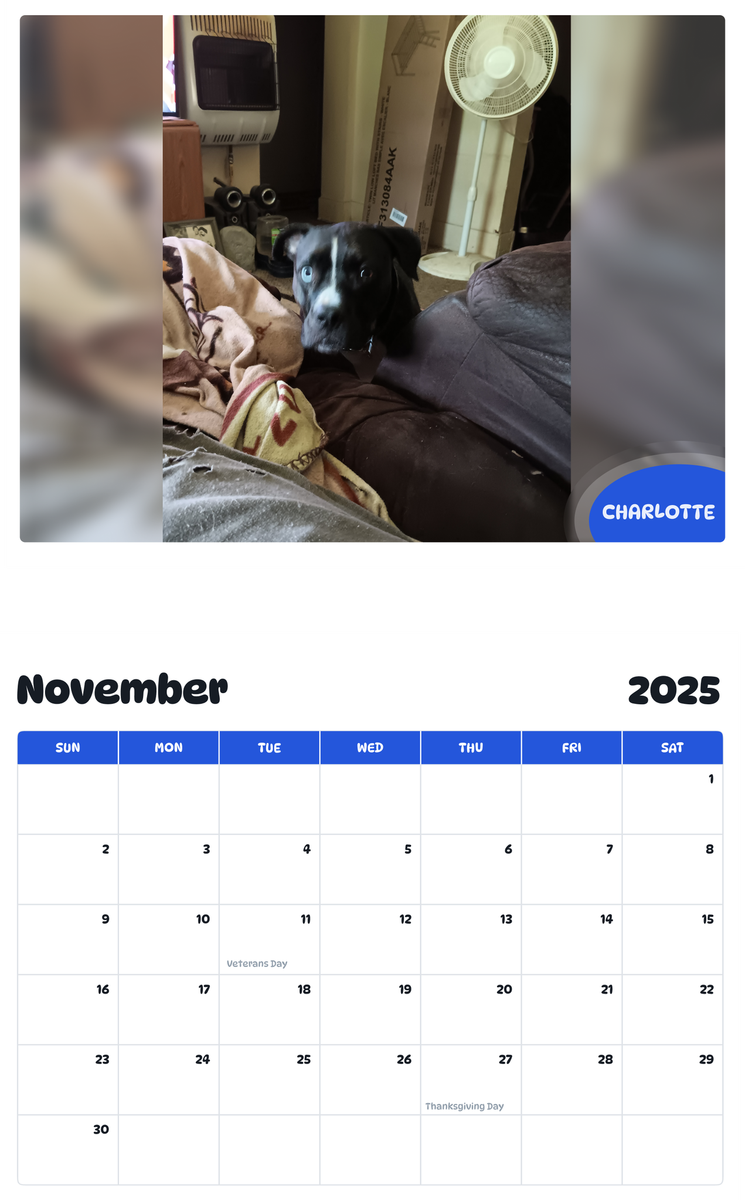 July 2025 - June 2026 Charlotte - Pawidols Pet Calendar