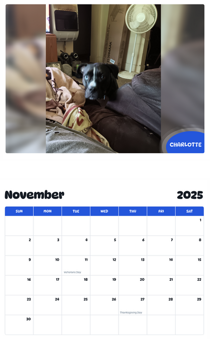 July 2025 - June 2026 Charlotte - Pawidols Pet Calendar