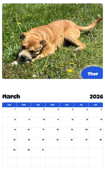 November 2025 - October 2026 Thor - Pawidols Pet Calendar