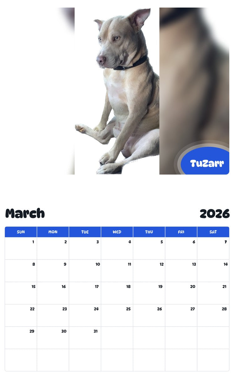 November 2025 - October 2026 TuZarr - Pawidols Pet Calendar