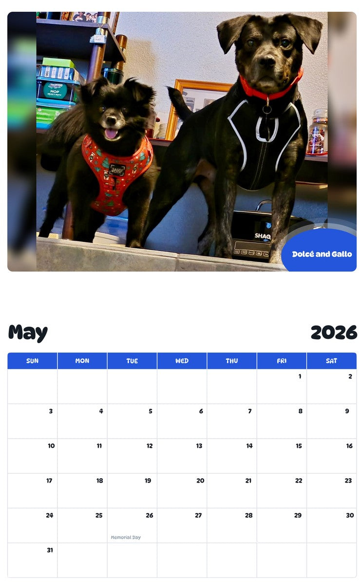 2026 - 2027 Dolcé and Gallo - Pawidols Pet Calendar