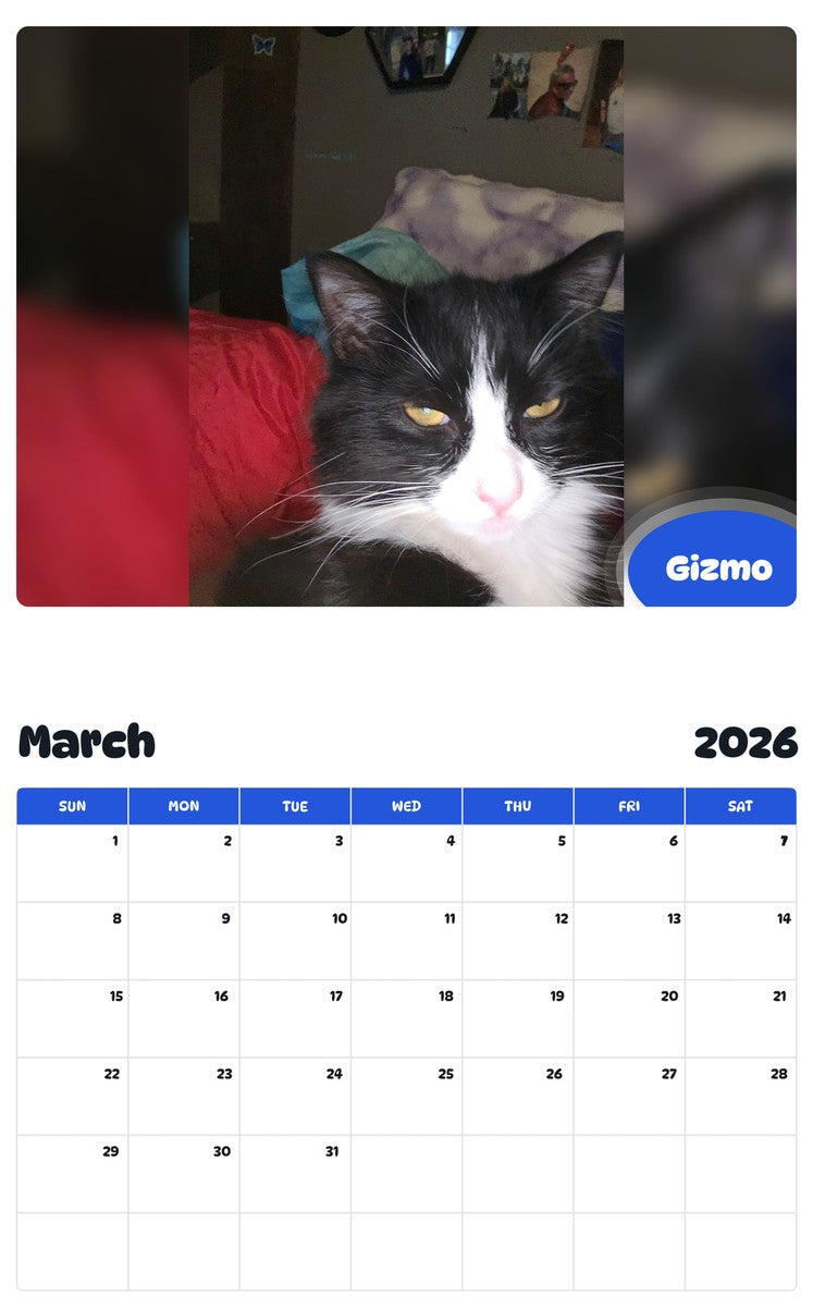 November 2025 - October 2026 Gizmo - Pawidols Pet Calendar