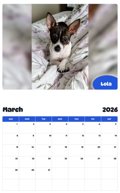 November 2025 - October 2026 Lola - Pawidols Pet Calendar