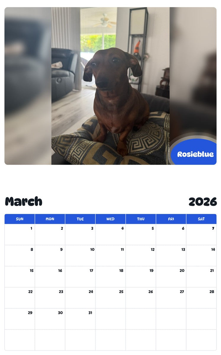 November 2025 - October 2026 Rosieblue - Pawidols Pet Calendar