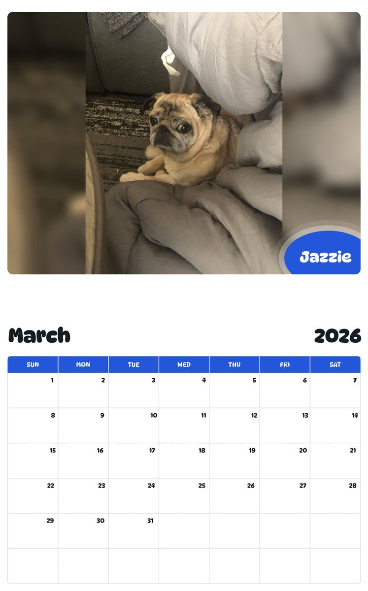 November 2025 - October 2026 Jazzie - Pawidols Pet Calendar