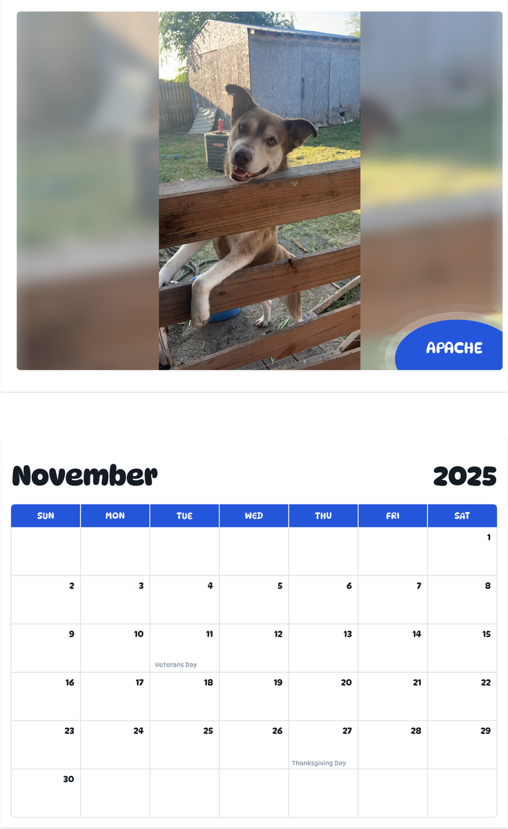 July 2025 - June 2026 Apache - Pawidols Pet Calendar