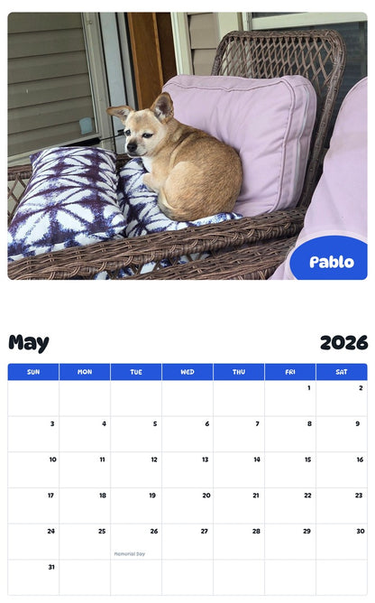 2026 - 2027 Pablo - Pawidols Pet Calendar